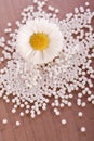 Chamomile homeopathic globule