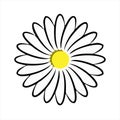 Chamomile icon isolated on white background from brazilian carnival collection.