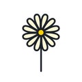 Chamomile icon. Vector isolated field flower icon