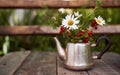 Chamomile, lemon balm and redcurrant bushes in an iron kettle. Nature blurred background Royalty Free Stock Photo