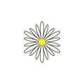 chamomile logo icon vector flower herb symbol