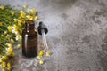 Chamomile medical essential oil bottle. Chamomile plant herbs with pipette. Chamomile essential oil on stone background Royalty Free Stock Photo