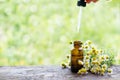 Chamomile medical essential oil use. Chamomile plant herbs on wooden desk. Chamomile essential oil on floral background Royalty Free Stock Photo