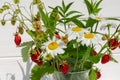 Summer bouquet in a vase on a white background. Chamomile, mint and strawberries