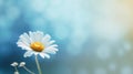 Chamomile natural background. Illustration AI Generative