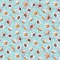 Daisy chamomile field meadow spring summer flowers seamless pattern on light blue sky background. Royalty Free Stock Photo