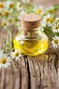 chamomile oil Royalty Free Stock Photo