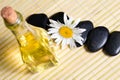 Chamomile, oil and stones Royalty Free Stock Photo