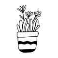 chamomile in a pot icon hand drawn. vector, minimalism, scandinavian, monochrome, nordic. sticker, plant, flower.
