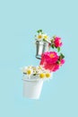 Chamomile and rosehip flowers in small buckets. Juicy summer wallpaper. Blue background Royalty Free Stock Photo