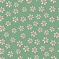 Chamomile seamless pattern