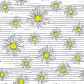 Chamomile seamless pattern with hand drawn lines.