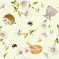 Chamomile seamless pattern