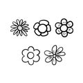 Chamomile. Set of camomile flowers. Vector freehand drawing. Linear illustration of flowers