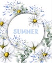 Chamomile summer card Vector watercolor. Vintage flowers white colors. Delicate frame decors Royalty Free Stock Photo