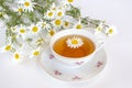 Chamomile tea Royalty Free Stock Photo