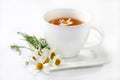 Chamomile tea Royalty Free Stock Photo