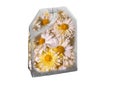A chamomile tea bag on a white background Royalty Free Stock Photo