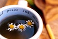 Chamomile tea with chamomile daisy flowers Royalty Free Stock Photo