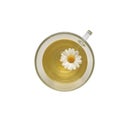 Chamomile tea in a cup isolated on white background Royalty Free Stock Photo