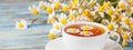 Chamomile tea, daisy flowers and a bouquet of Matricaria chamomilla on a wooden background Royalty Free Stock Photo