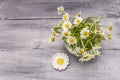 Chamomile tea. Fresh flowers, summer hot drink concept. Alternative medicine, lifestyle