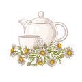 Chamomile tea illustration