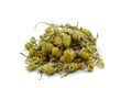 Chamomile tea isolated on white background Royalty Free Stock Photo