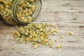 Chamomile Royalty Free Stock Photo