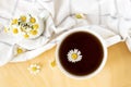 Chamomile tea with kitchen towel and chamomile in white ceramic cup on the wooden table. Herbal tea. Top view. Flat lay Royalty Free Stock Photo