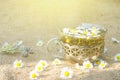 Chamomile tea and sprig of thyme Royalty Free Stock Photo