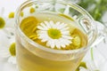 Chamomile tea, white background, closeup Royalty Free Stock Photo