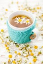 Cup of chamomile tea Royalty Free Stock Photo