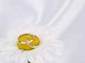 Chamomile and two weddings rings