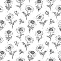 Chamomile pattern