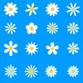 Chamomile. White daisy round flower set. Camomile icon collection.  Isolated on blue background. Flat design. Vector illustration Royalty Free Stock Photo