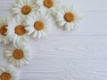 Chamomile white composition wooden background festive summertime