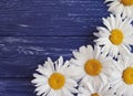 Chamomile wooden background festive composition