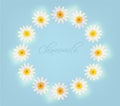 Chamomile wreath Vector. Summer frame background card illustrations