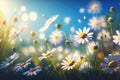 Chamomiles daisies macro in summer spring field on background blue sky with sunshine and Summer natural landscape with copy space. Royalty Free Stock Photo