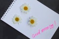 Chamomiles and notes good morning on stone. Top view. Royalty Free Stock Photo