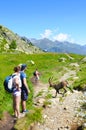 Chamonix-Mont-Blanc, France - July 30, 2019: Tourists watching Alpine Ibex in the French Alps. Wild goat, steinbock, in Latin