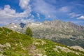 Chamonix valley landscape, french Alps Royalty Free Stock Photo