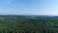 Field of fir treesclose to Le Buisson-de-Cadouin in the Black Perigord France Royalty Free Stock Photo