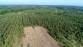 Field of fir treesclose to Le Buisson-de-Cadouin in the Black Perigord France Royalty Free Stock Photo