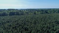Field of fir treesclose to Le Buisson-de-Cadouin in the Black Perigord France Royalty Free Stock Photo