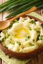 Champ is an Irish dish of mashed potatoes with scallions, butter, and milk close up in the bowl. Vertical