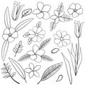 Champa Cosmos Jasmine Nerium Oleander Lily Leaf Flower Floral Silhouette Outline Line Element
