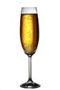 Champagne Royalty Free Stock Photo