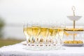 Champagne Royalty Free Stock Photo